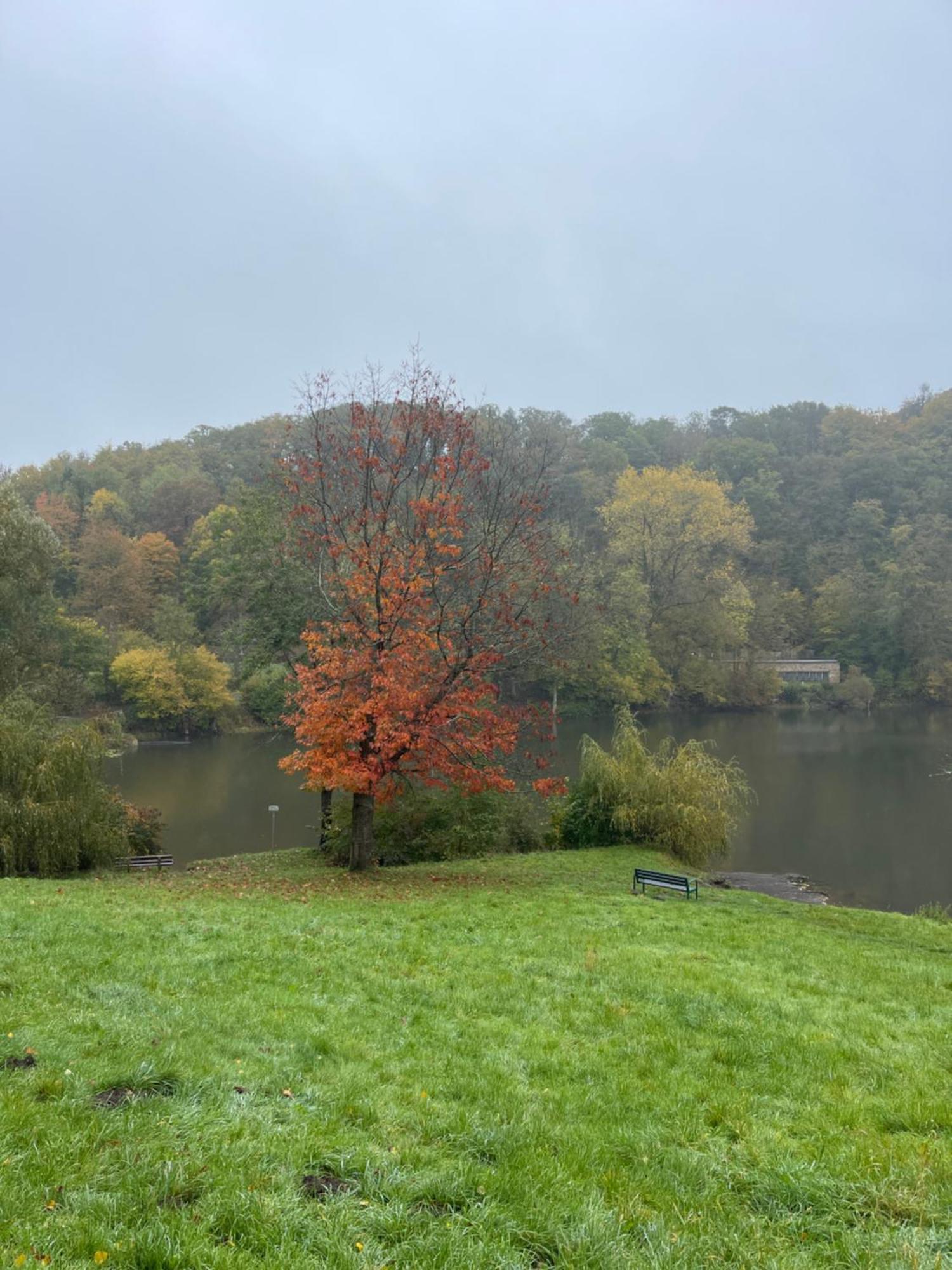 Ferienhaus Eifelstuben Mit Charme - Bauernstube Vulkaneifel - Naehe See Und Burgruine Ulmen ภายนอก รูปภาพ