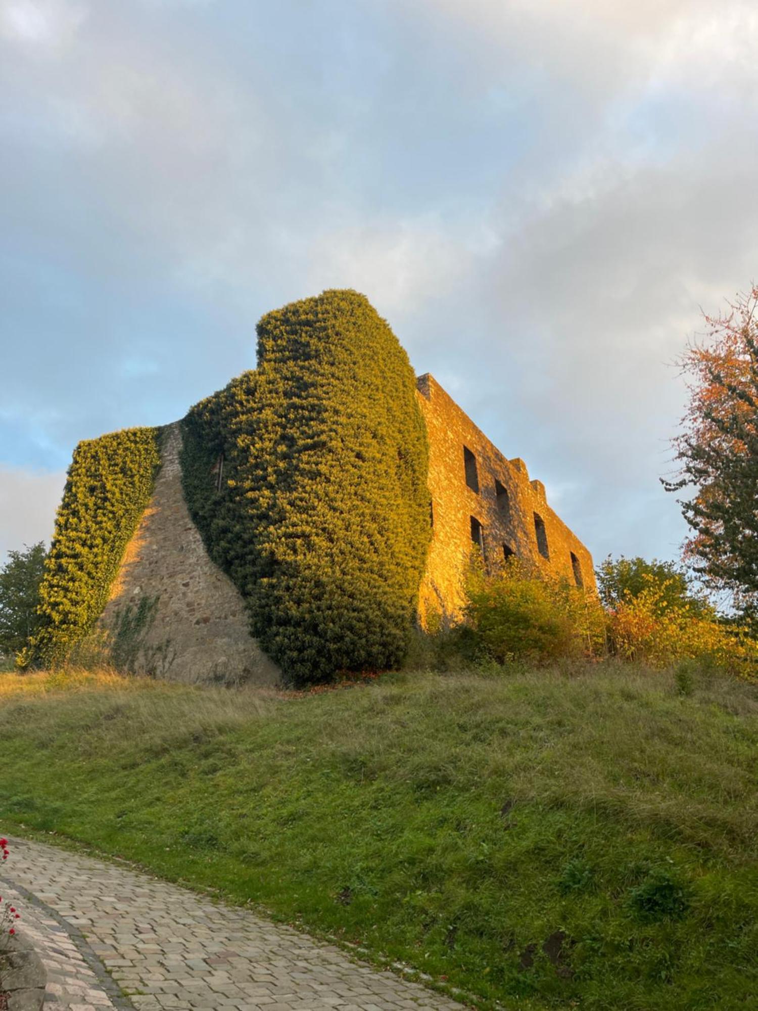 Ferienhaus Eifelstuben Mit Charme - Bauernstube Vulkaneifel - Naehe See Und Burgruine Ulmen ภายนอก รูปภาพ