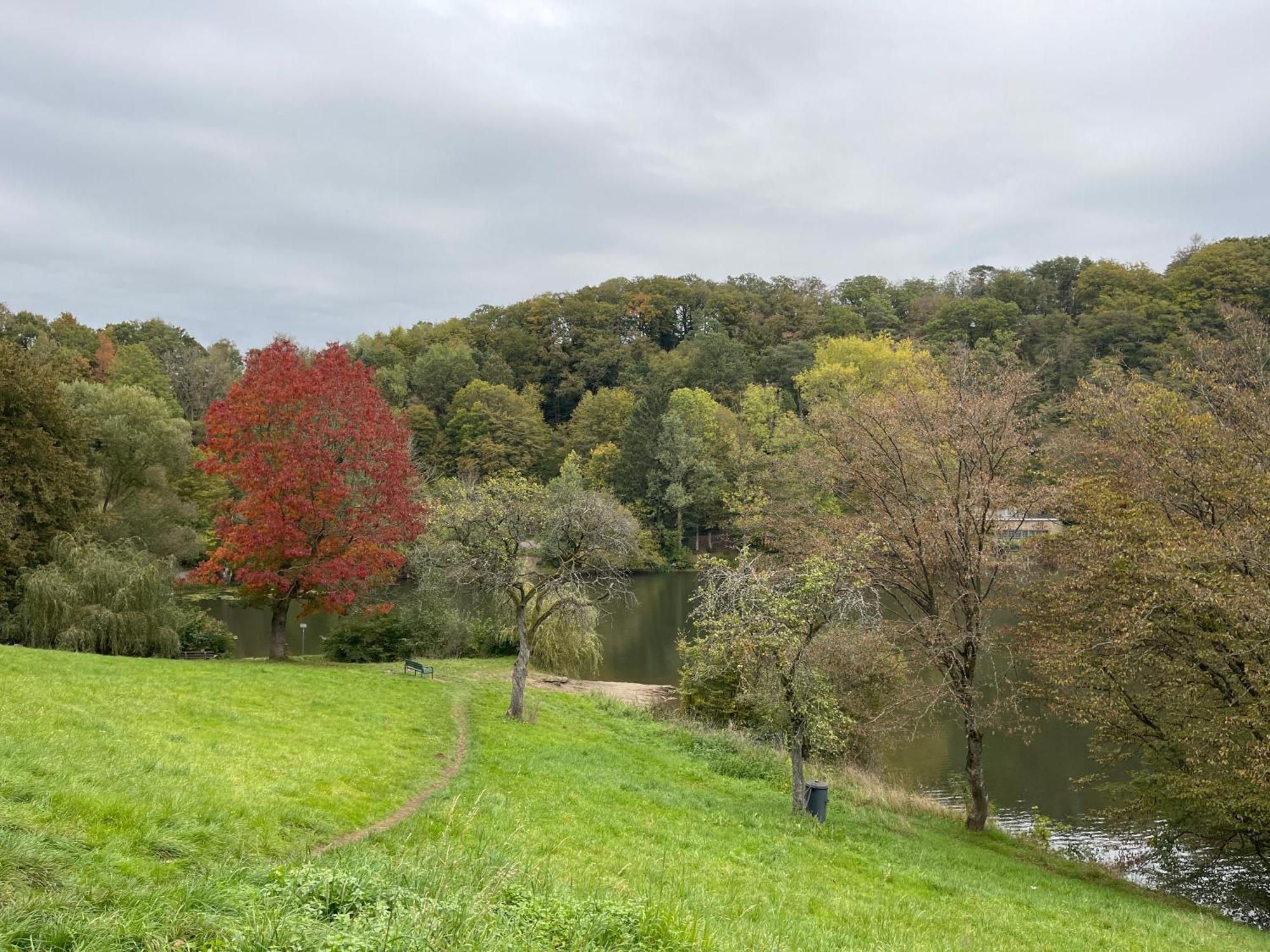 Ferienhaus Eifelstuben Mit Charme - Bauernstube Vulkaneifel - Naehe See Und Burgruine Ulmen ภายนอก รูปภาพ